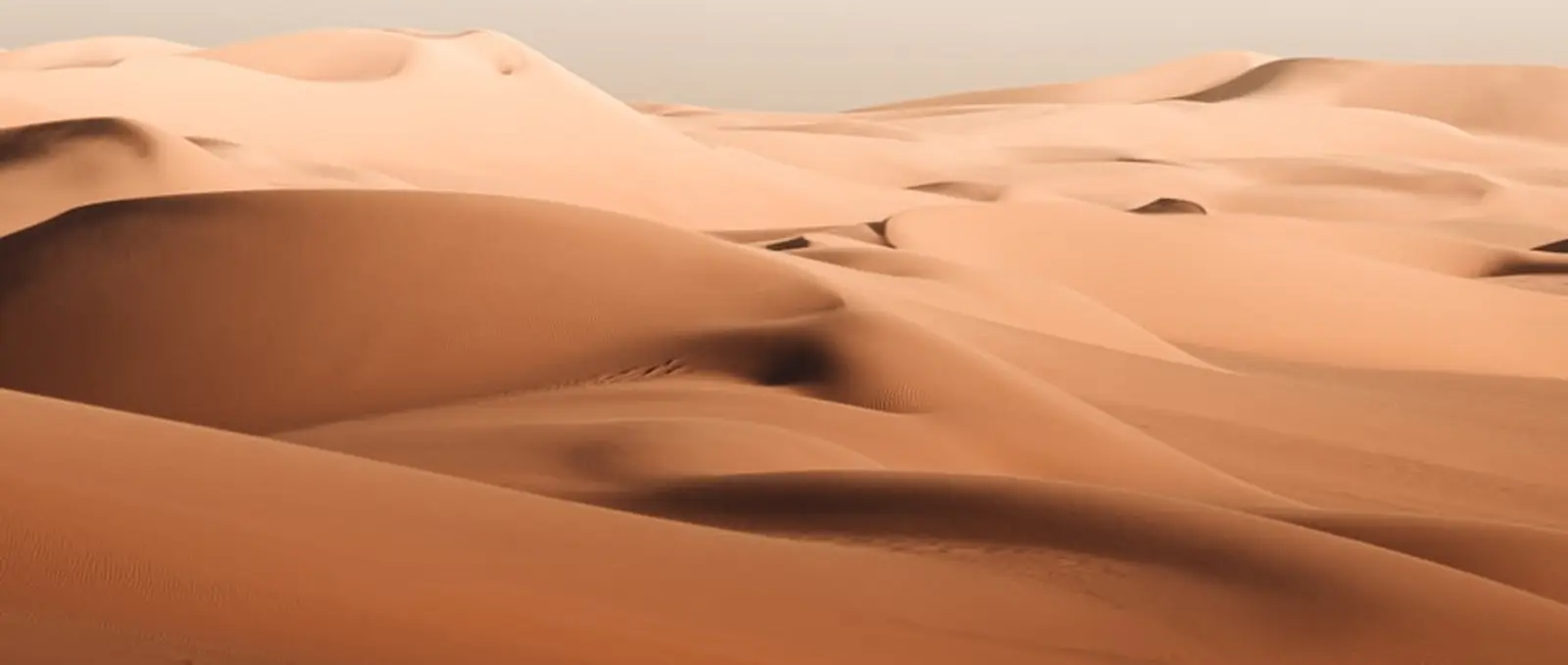 Dunes in low, warm light.